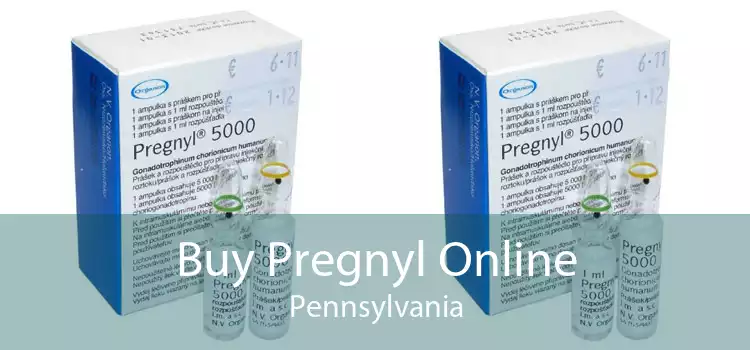Buy Pregnyl Online Pennsylvania