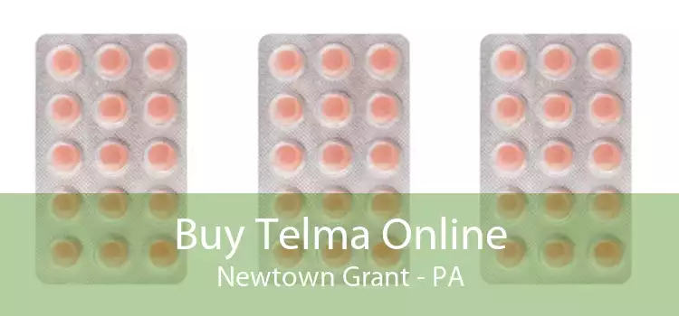 Buy Telma Online Newtown Grant - PA